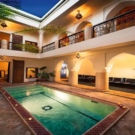 Riad Darhani-2
